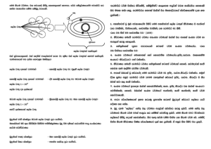 0006 නියාම ධර්මතා.png